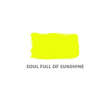 Soul Full Of Sunshine Clay and Chalk Paint- Neon